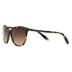 Women's Ralph By Ralph Lauren 54mm RA5203 Gradient Cat Eye Sunglasses 5 Women's Ralph By Ralph Lauren 54mm RA5203 Gradient Cat Eye Sunglasses -SHED RAIN Sales Store 5025884 ALT2