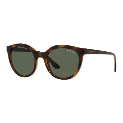 Women's Vogue Eyewear 50mm Oval Sunglasses